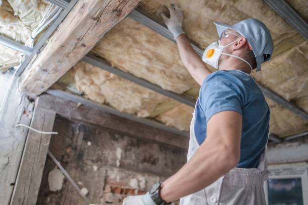 Best Insulation Materials and Products in Honsville, GA